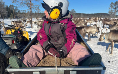 Forage sledge for reindeer herding work